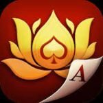 Teen Patti Lotus